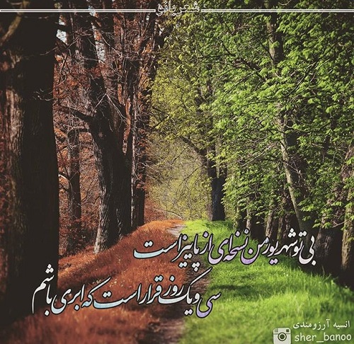 مینی شعر (173)