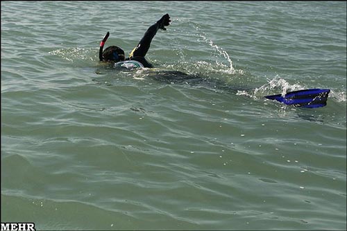 شناگر ایرانی رکورد گینس را شکست