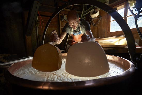 تصاویر: مراحل ساخت معروفترین پنیر جهان