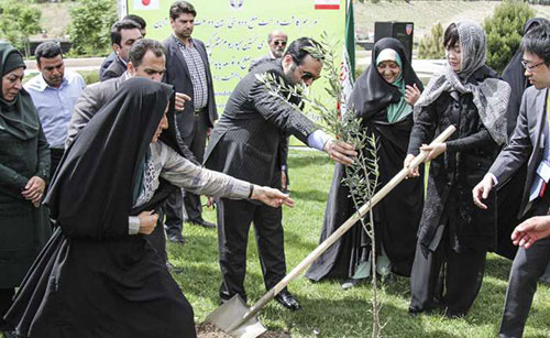 کاشت درخت صلح بین ایران و ژاپن +عکس