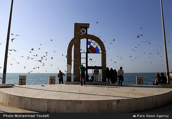 رسم جالب مردم بوشهر به کام مرغان دریایی