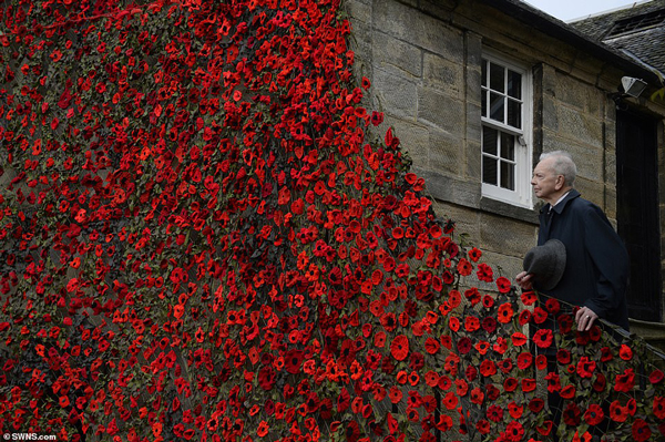 هزاران گل خشخاش قرمز برای بزرگداشت قربانیان جنگ جهانی اول