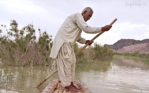 مسافرکشی با «توتن» در بلوچستان +عکس