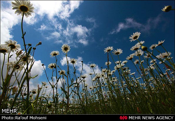 عکس؛ طبیعت دامنه های سبلان