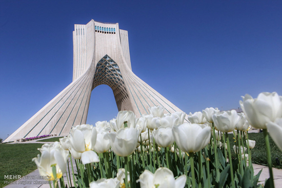رنگین کمان لاله ها در تهران