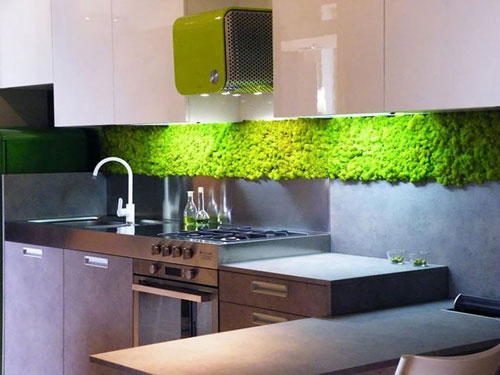 طرح جالب دیوارهای گیاهی +عکس