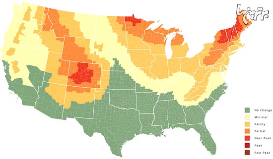 نقشه جالب ایالات متحده براساس تغییر رنگ برگ های پاییزی