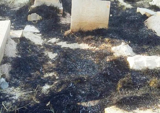 قبرستان تاریخی شیراز طعمه حریق شد