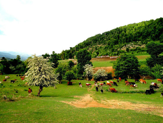 ایرانِ زیبای ما (2) ایرانِ زیبای ما (2)