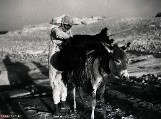 بادیه‌نشینی اعراب پیش از نفت +عکس