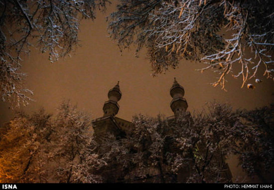 عکس: بارش برف در تهران