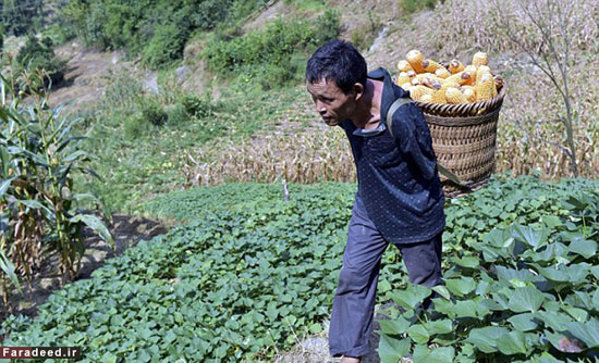 فداکاری معلول بدون دست برای مادر +عکس