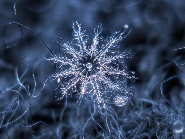 عکس های کلوزآپ زیبا از دانه های برف