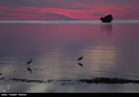 تصاویری زیبا از کلبه هور در خلیج فارس