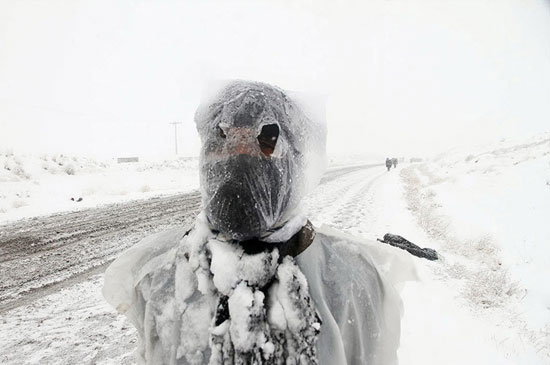زائران پیاده امام رضا (ع) در برف +عکس