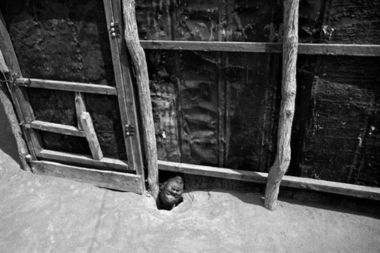 زندان مجانین +عکس