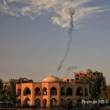ایرانِ زیبای ما (1)