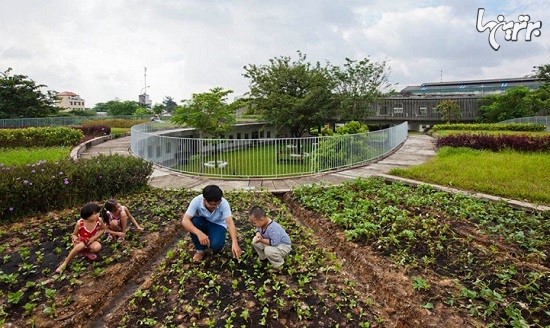کودکستان کشاورزی در ویتنام! +عکس
