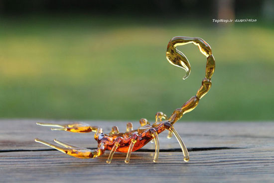 حشرات زیبای شیشه ای +عکس