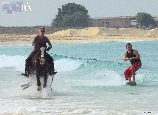 تصاویر: موج سواری با اسب!