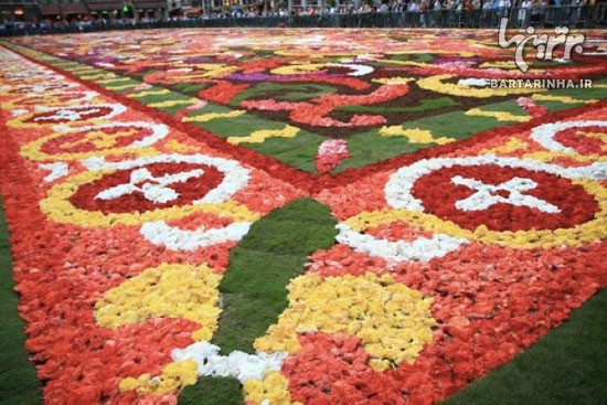 تصاویری زیبا از مراسم "فرش گل بروکسل"