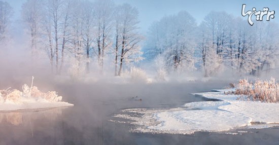 عکس: زیبایی زمستان در بلاروس