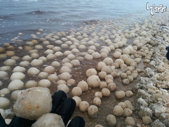 این ساحل زمستان ها توپ های یخی می‌سازد