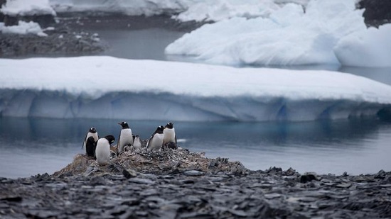 در جنوبگان دمای بیشتر از ۲۰درجه ثبت شد
