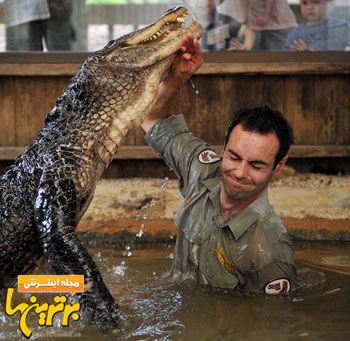 جوان استرالیایی عاشق تمساح ها! + عکس