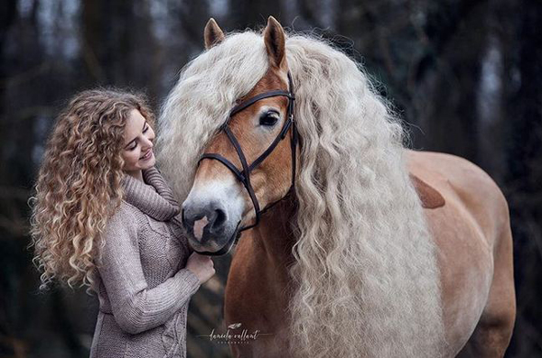 هر دختری به مو‌های این اسب حسادت می‌کند!