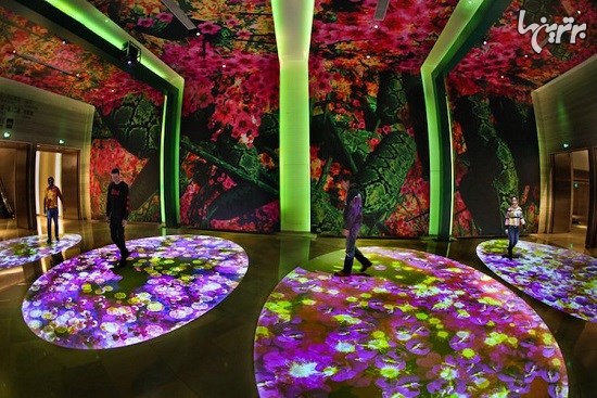 باغ های مجازی زیبا به مناسبت فصل بهار در چین