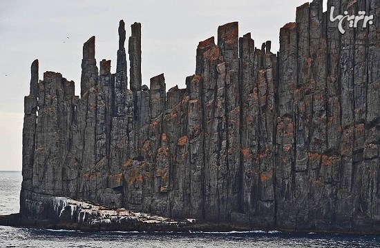 ستون های سنگی عظیم در ساحل تاسمانی