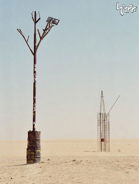 سرگذشت تنها ترین درخت دنیا +عکس