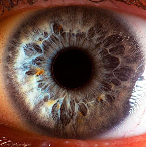 تصاویری باورنکردنی از پیچیدگی‌های چشم‌