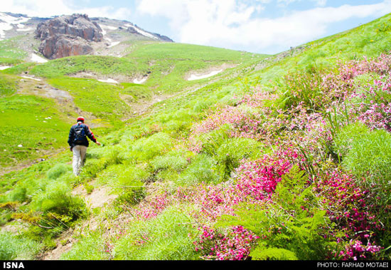 عکس: زیبایی های چهل‌چشمه کردستان