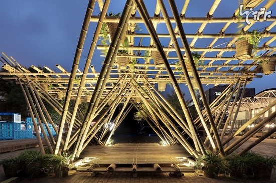 ساخت مجتمع مسکونی درختی با بامبو