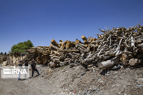 ساخت ساز ایرانی با چوب گردو و توت