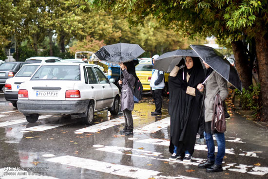 عکس: بارش باران در شیراز