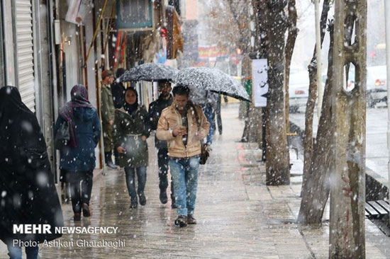 بارش برف زنجان را سپید پوش کرد