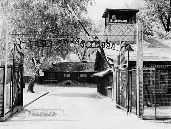 گزارش تکان دهنده از اردوگاه «آشویتس»