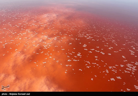 سُرخی دوباره دریاچه ارومیه در تابستان