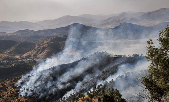 عکس: آتش به جان جنگل‌ های مریوان افتاد