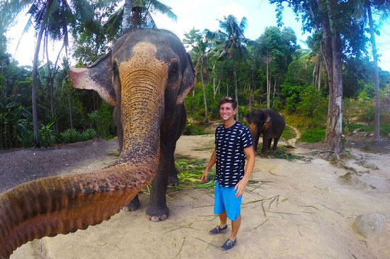 سلفی فیل باغ وحش با یک گردشگر! +عکس