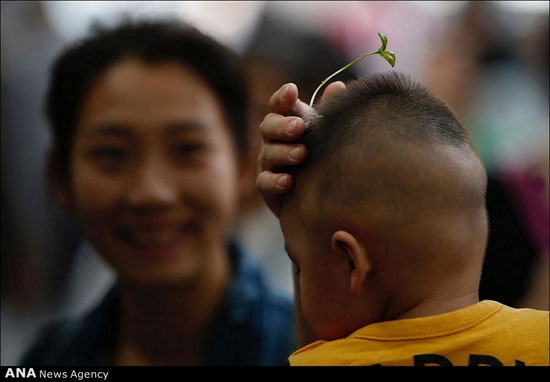 کاشت گیاه روی سر انسان در پکن! +عکس