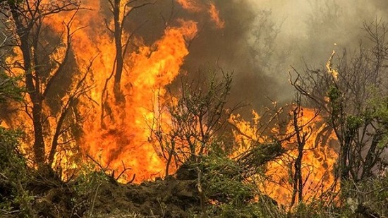 جنگل‌های «چوار» بعد از ۲ روز همچنان می‌سوزند