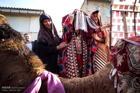 عکس: آئین سنتی عروسی ترکمن
