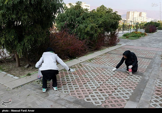 عکس: طرح جمع آوری ته سیگار در تبریز