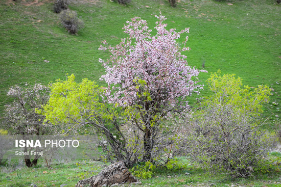 بهشت اردیبهشت ارومیه