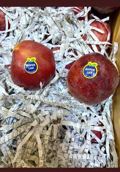 تصویری قابل تامل از کارتن سیب‌های صادراتی
