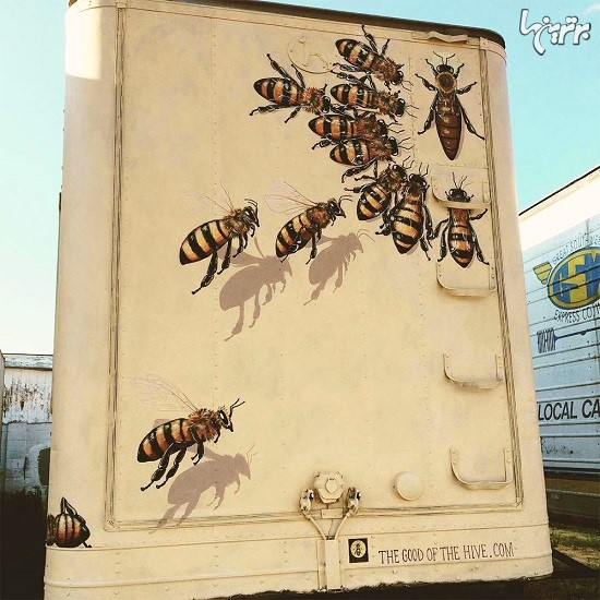 مردی که دوردنیا سفر می کند و زنبور می کشد